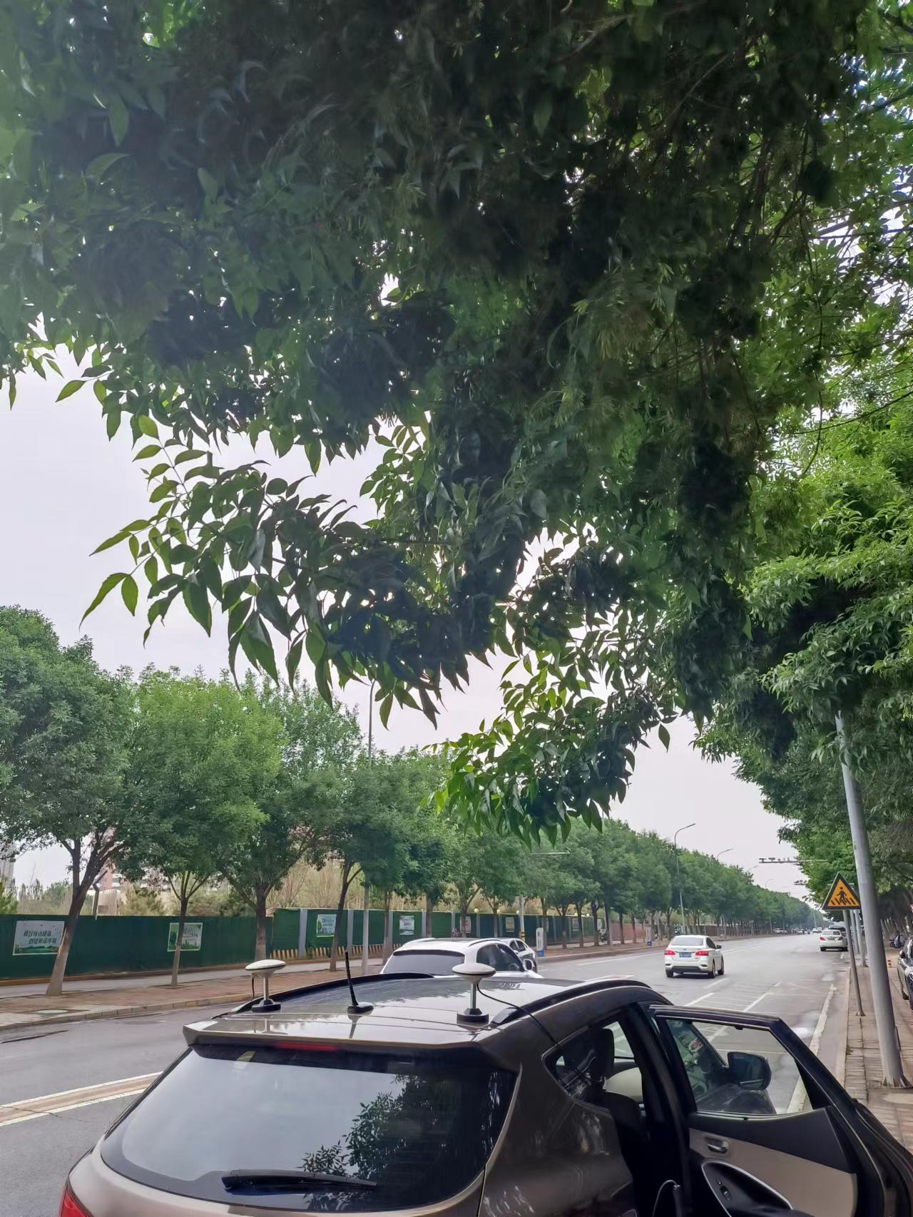 测试现场（原 PPT 第 3 页中图）
